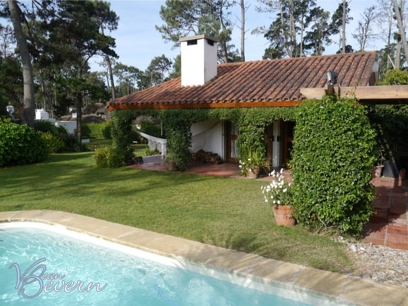 1 house with pool in pinares