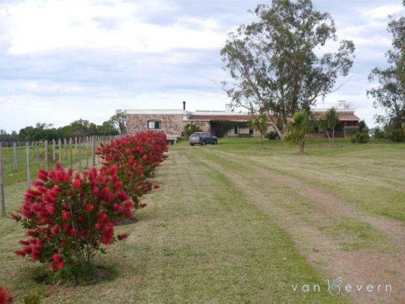 1 uruguay 150 ha ranch on costa de oro
