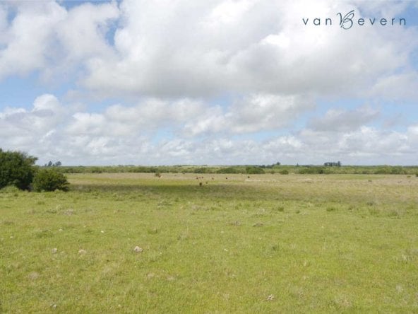 1 uruguay 56 hectares of prime pastureland