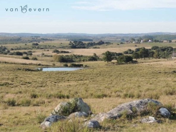 1 98 ha of undeveloped land in uruguay