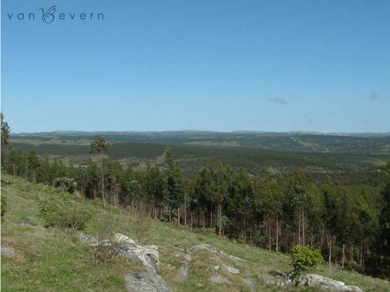 1,800 acres rural estate in Rocha DRE530 Uruguay Real Estate van