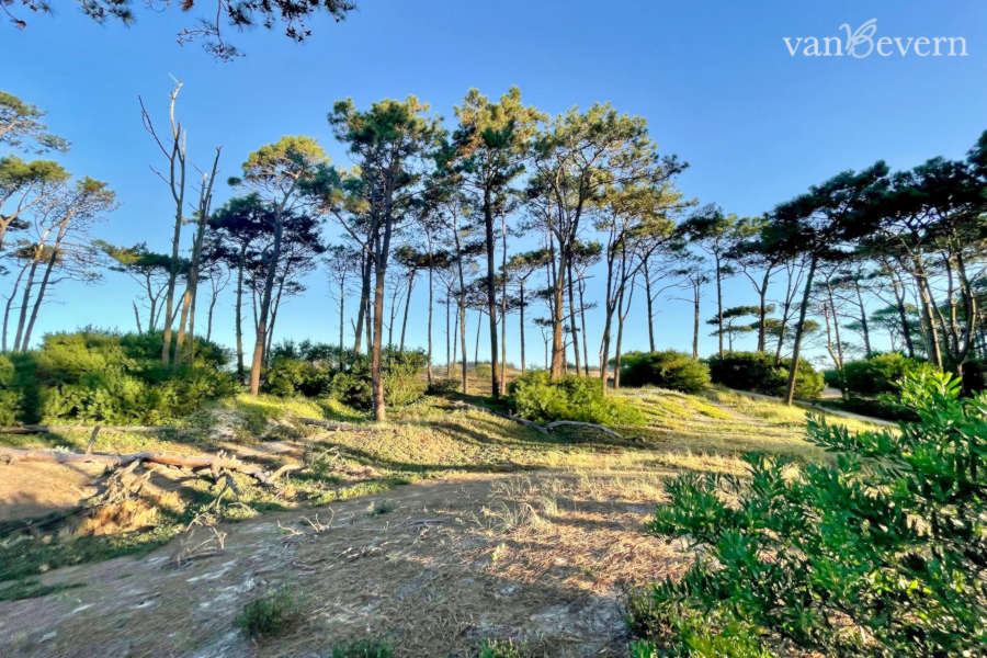 1 plot of land with access to the beach in el pinar