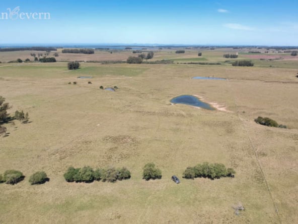 1 undeveloped 10ha rural estate on route 9