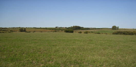 Warum Uruguay? Typische uruguayische Landschaft