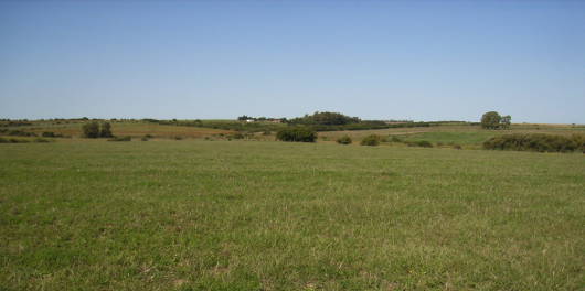 Typische uruguayische Landschaft