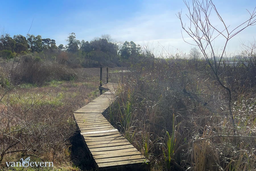 26-rural-estate-on-the-shore-of-laguna-del-sauce